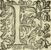 An illustration from Notizie de' professori del disegno da Cimabve in qva, per le quali si dimostra come, e per chi le bell'arti di pittura, scultura, e architettura lasciata la rozzezza delle maniere greca, e gottica, si siano in questi secoli ridotte all' antica loro perfezione (1681)