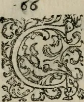 Picture 31 of 91 from Notizie di nobiltà (1672), leaf 105