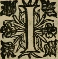 An illustration from Notizie di nobiltà (1672)