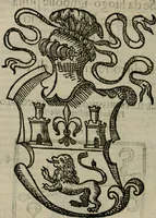 Picture 51 of 91 from Notizie di nobiltà (1672), leaf 291