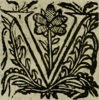 An illustration from Notizie di nobiltà (1672)