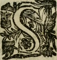 An illustration from Notizie di nobiltà (1672)