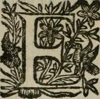 An illustration from Notizie di nobiltà (1672)