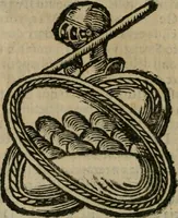 Picture 74 of 91 from Notizie di nobiltà (1672), leaf 383
