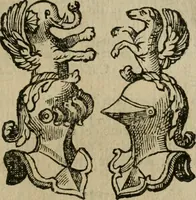 Picture 75 of 91 from Notizie di nobiltà (1672), leaf 384