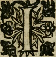 An illustration from Notizie di nobiltà (1672)