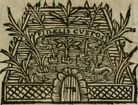 Picture 89 of 91 from Notizie di nobiltà (1672), leaf 526