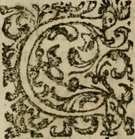 An illustration from Notizie di nobiltà (1672)