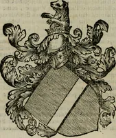 Picture 11 of 91 from Notizie di nobiltà (1672), leaf 53