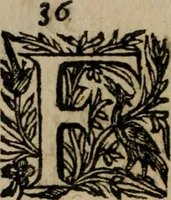 Picture 17 of 91 from Notizie di nobiltà (1672), leaf 75