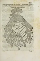 Picture 21 of 29 from Notizie di nobiltà : lettere (1672), leaf 377