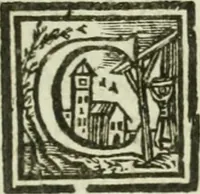 Picture 35 of 77 from Notizie istoriche de' pittori, scultori, ed architetti cremonesi (1774), leaf 204