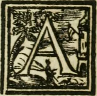 An illustration from Notizie istoriche de' pittori, scultori, ed architetti cremonesi (1774)