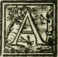 An illustration from Notizie istoriche de' pittori, scultori, ed architetti cremonesi (1774)