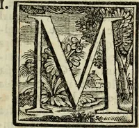 An illustration from Notizie istoriche delle chiese fiorentine, divise ne' suoi quartieri (1754)