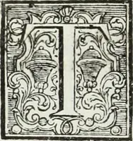An illustration from Notizie storiche delle chiese e monasteri di Venezia, e di Torcello : tratte dalle chiese veneziane, e torcellane (1758)