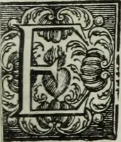 An illustration from Notizie storiche delle chiese e monasteri di Venezia, e di Torcello : tratte dalle chiese veneziane, e torcellane (1758)