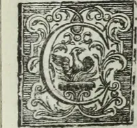 An illustration from Notizie storiche delle chiese e monasteri di Venezia, e di Torcello : tratte dalle chiese veneziane, e torcellane (1758)