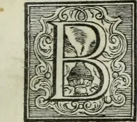 An illustration from Notizie storiche delle chiese e monasteri di Venezia, e di Torcello : tratte dalle chiese veneziane, e torcellane (1758)