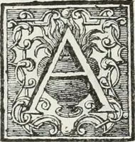 An illustration from Notizie storiche delle chiese e monasteri di Venezia, e di Torcello : tratte dalle chiese veneziane, e torcellane (1758)