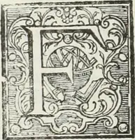 An illustration from Notizie storiche delle chiese e monasteri di Venezia, e di Torcello : tratte dalle chiese veneziane, e torcellane (1758)
