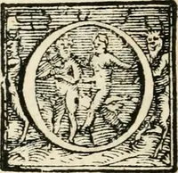 An illustration from Notte d'amore del s. Francesco Cini : rappresentata tra danze nelle nozze del sereniss. d. Cosimo de Medici, principe di Toscana e della serenissima arcidvchessa Maria Maddalena d'Avstria : in Firenze, l'anno MDCVIII (1608)