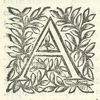 Picture 43 of 54 from Noua et amaenior de admirando fontium genio (ex abditas naturae claustris, in orbis lucem emanante) philosophia : perenne fluere iussa (1659), leaf 109