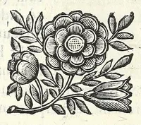 An illustration from Noua et amaenior de admirando fontium genio (ex abditas naturae claustris, in orbis lucem emanante) philosophia : perenne fluere iussa (1659)