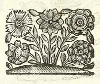 An illustration from Noua et amaenior de admirando fontium genio (ex abditas naturae claustris, in orbis lucem emanante) philosophia : perenne fluere iussa (1659)