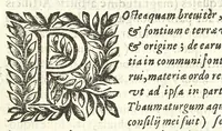 An illustration from Noua et amaenior de admirando fontium genio (ex abditas naturae claustris, in orbis lucem emanante) philosophia : perenne fluere iussa (1659)