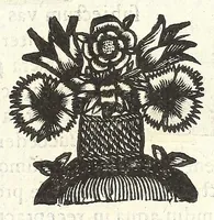 Picture 28 of 54 from Noua et amaenior de admirando fontium genio (ex abditas naturae claustris, in orbis lucem emanante) philosophia : perenne fluere iussa (1659), leaf 79