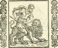 Picture 100 of 321 from Noua iconologia di Cesare Ripa perugino, caualier de SS. Mauritio & Lazzaro. Nella quale si descriuono diuerse imagini di virtù, vitij, affetti, passioni humane, arti, discipline, humori, elementi, corpi celesti, prouincie d'Italia, fiumi, tutte le parti del mondo, ed'altre infinite materie. Opera vtile ad oratori, predicatori, poeti, pittori, scultori, disegnatori, e ad'ogni studioso. Per inuentar concetti, emblemi, ed imprese, per diuisare qualsiuoglia apparato nuttiale, funerale, trionfale. Per rappresentar poemi drammatici, e per figurare co'suoi propij simboli ciò, che puo cadere in pensiero humano. Ampliata vltimamente dallo stesso auttore di trecento imagini, e arricchita di molti discorsi pieni di varia eruditione; con nuoui intagli, & con molti indici copiosi (1618), leaf 202
