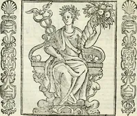 Picture 113 of 321 from Noua iconologia di Cesare Ripa perugino, caualier de SS. Mauritio & Lazzaro. Nella quale si descriuono diuerse imagini di virtù, vitij, affetti, passioni humane, arti, discipline, humori, elementi, corpi celesti, prouincie d'Italia, fiumi, tutte le parti del mondo, ed'altre infinite materie. Opera vtile ad oratori, predicatori, poeti, pittori, scultori, disegnatori, e ad'ogni studioso. Per inuentar concetti, emblemi, ed imprese, per diuisare qualsiuoglia apparato nuttiale, funerale, trionfale. Per rappresentar poemi drammatici, e per figurare co'suoi propij simboli ciò, che puo cadere in pensiero humano. Ampliata vltimamente dallo stesso auttore di trecento imagini, e arricchita di molti discorsi pieni di varia eruditione; con nuoui intagli, & con molti indici copiosi (1618), leaf 233