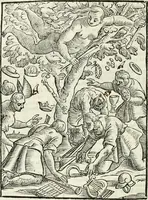 Picture 119 of 321 from Noua iconologia di Cesare Ripa perugino, caualier de SS. Mauritio & Lazzaro. Nella quale si descriuono diuerse imagini di virtù, vitij, affetti, passioni humane, arti, discipline, humori, elementi, corpi celesti, prouincie d'Italia, fiumi, tutte le parti del mondo, ed'altre infinite materie. Opera vtile ad oratori, predicatori, poeti, pittori, scultori, disegnatori, e ad'ogni studioso. Per inuentar concetti, emblemi, ed imprese, per diuisare qualsiuoglia apparato nuttiale, funerale, trionfale. Per rappresentar poemi drammatici, e per figurare co'suoi propij simboli ciò, che puo cadere in pensiero humano. Ampliata vltimamente dallo stesso auttore di trecento imagini, e arricchita di molti discorsi pieni di varia eruditione; con nuoui intagli, & con molti indici copiosi (1618), leaf 255