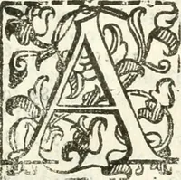 Picture 13 of 321 from Noua iconologia di Cesare Ripa perugino, caualier de SS. Mauritio & Lazzaro. Nella quale si descriuono diuerse imagini di virtù, vitij, affetti, passioni humane, arti, discipline, humori, elementi, corpi celesti, prouincie d'Italia, fiumi, tutte le parti del mondo, ed'altre infinite materie. Opera vtile ad oratori, predicatori, poeti, pittori, scultori, disegnatori, e ad'ogni studioso. Per inuentar concetti, emblemi, ed imprese, per diuisare qualsiuoglia apparato nuttiale, funerale, trionfale. Per rappresentar poemi drammatici, e per figurare co'suoi propij simboli ciò, che puo cadere in pensiero humano. Ampliata vltimamente dallo stesso auttore di trecento imagini, e arricchita di molti discorsi pieni di varia eruditione; con nuoui intagli, & con molti indici copiosi (1618), leaf 34