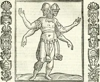 Picture 202 of 321 from Noua iconologia di Cesare Ripa perugino, caualier de SS. Mauritio & Lazzaro. Nella quale si descriuono diuerse imagini di virtù, vitij, affetti, passioni humane, arti, discipline, humori, elementi, corpi celesti, prouincie d'Italia, fiumi, tutte le parti del mondo, ed'altre infinite materie. Opera vtile ad oratori, predicatori, poeti, pittori, scultori, disegnatori, e ad'ogni studioso. Per inuentar concetti, emblemi, ed imprese, per diuisare qualsiuoglia apparato nuttiale, funerale, trionfale. Per rappresentar poemi drammatici, e per figurare co'suoi propij simboli ciò, che puo cadere in pensiero humano. Ampliata vltimamente dallo stesso auttore di trecento imagini, e arricchita di molti discorsi pieni di varia eruditione; con nuoui intagli, & con molti indici copiosi (1618), leaf 424