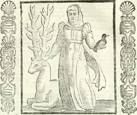 Picture 289 of 321 from Noua iconologia di Cesare Ripa perugino, caualier de SS. Mauritio & Lazzaro. Nella quale si descriuono diuerse imagini di virtù, vitij, affetti, passioni humane, arti, discipline, humori, elementi, corpi celesti, prouincie d'Italia, fiumi, tutte le parti del mondo, ed'altre infinite materie. Opera vtile ad oratori, predicatori, poeti, pittori, scultori, disegnatori, e ad'ogni studioso. Per inuentar concetti, emblemi, ed imprese, per diuisare qualsiuoglia apparato nuttiale, funerale, trionfale. Per rappresentar poemi drammatici, e per figurare co'suoi propij simboli ciò, che puo cadere in pensiero humano. Ampliata vltimamente dallo stesso auttore di trecento imagini, e arricchita di molti discorsi pieni di varia eruditione; con nuoui intagli, & con molti indici copiosi (1618), leaf 626