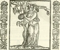 Picture 25 of 321 from Noua iconologia di Cesare Ripa perugino, caualier de SS. Mauritio & Lazzaro. Nella quale si descriuono diuerse imagini di virtù, vitij, affetti, passioni humane, arti, discipline, humori, elementi, corpi celesti, prouincie d'Italia, fiumi, tutte le parti del mondo, ed'altre infinite materie. Opera vtile ad oratori, predicatori, poeti, pittori, scultori, disegnatori, e ad'ogni studioso. Per inuentar concetti, emblemi, ed imprese, per diuisare qualsiuoglia apparato nuttiale, funerale, trionfale. Per rappresentar poemi drammatici, e per figurare co'suoi propij simboli ciò, che puo cadere in pensiero humano. Ampliata vltimamente dallo stesso auttore di trecento imagini, e arricchita di molti discorsi pieni di varia eruditione; con nuoui intagli, & con molti indici copiosi (1618), leaf 68