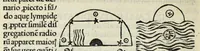 Picture 3 of 15 from Nouiciis adolfscentibus ad astronomicam rempu. capessenda[m] aditu[m] i[m]petra[n]tib[us], per breui rectoq[ue] tramite a uulgari uestigio semoto, Ioannis de Sacro Busto Sphe̜ricum opusculu[m] Georgiiq[ue] Purbachii I[n] mot[us] planetaru[m] accuratiss. theorice̜ Necno[n] contra Cremonensia in eorunde[m] planetaru[m] theoricas delirame[n]ta Ioa[n]nis de Mo[n]te Regio disputatio[n]es ta[m] accuratiss. q[uam] utiliss. dicatu[m] opus utili serie contextu[m] inchoat., leaf 14