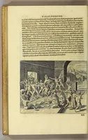 Picture 15 of 17 from Noui Orbis pars duodecima. Sive Descriptio Indiae Occidentalis, (1624), leaf 318