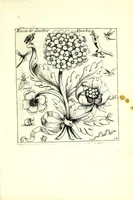 An illustration from Nouueau liure de fleurs, feuilles, et oyseaux, dessigné et gravé apres le naturel (1680)