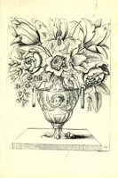 An illustration from Nouueau liure de fleurs, feuilles, et oyseaux, dessigné et gravé apres le naturel (1680)
