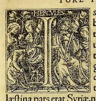 Picture 2 of 2 from Nouus orbis regionum ac insularum ueteribus incognitarum, (1532), leaf 352