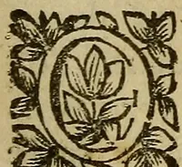 An illustration from Nouveau cours de medecine, ou, Selon les principes de la nature & des mécaniques (1669)