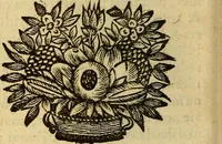 An illustration from Nouveau cours de medecine, ou, Selon les principes de la nature & des mécaniques (1669)