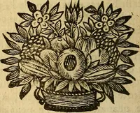 An illustration from Nouveau cours de medecine, ou, Selon les principes de la nature & des mécaniques (1669)