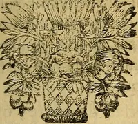 An illustration from Nouveau cours de medecine, ou, Selon les principes de la nature & des mécaniques (1669)