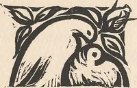 An illustration from Le nouveau jardin (1912)