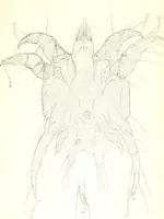 An illustration from Nouveau manuel complet de l'observateur au microscope (1843)