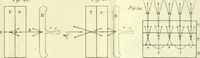 An illustration from Nouveau mécanisme de l'électricité : fondé sur les lois de l'équilbre & du mouvement, démontré par des expériences qui renversent le systême de l'électricité positive & négative : & qui établissent ses rapports avec le mécanisme caché de l'aimant, dont il explique les principaux phénomènes : et l'heureuse influence du fluide électrique dans le traitement des maladies nerveuses (1802)